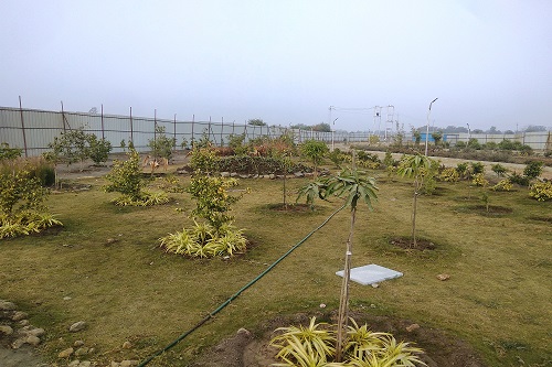 Garden